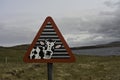 Funny road sign cow warning