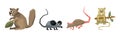 Funny Rodent Animal with Tail and Teeth Vector Set