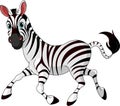 Funny Running Zebra