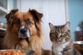 funny scene of dog eating human food, and cat looking on in disapproval