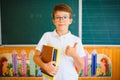 Funny schoolboy near the green school board in the classroom. Elementary school. Back to school Royalty Free Stock Photo