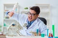The funny scientist with cat skeleton in lab clinic