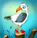 Funny seagull