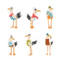 Funny seagull sailors set. Cute bird characters in captain cap cartoon vector illustration Royalty Free Stock Photo