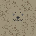 Funny seal face on beige brown background. Vector