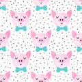 Funny seamless pattern with pig heads Royalty Free Stock Photo