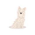 Funny and serious lap dog. Dogs collection. Vector illustration of cute breeds dogs in trendy flat style