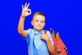 Funny serious little blonde kid schoolboy red striped backpack posing isolated on blue background.showing OK gesture Royalty Free Stock Photo