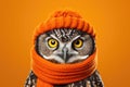 Funny serious owl wearing in orange warm knitted cap and scarf on clear bright background.