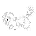 Funny shaggy dog. Silhouette of a cute lapdog with outlines