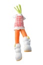 Funny shaped carrot with doll dress and boots