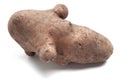Funny shaped potato