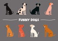 Funny sitting dogs flat vector illustrations set. Hand-drawn cartoon dogs of different breeds
