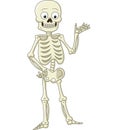 Funny skeleton presenting