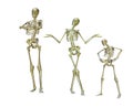 Funny skeletons