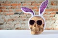 Funny skull with hair hoop in shape of rabbit ears and carnival accessories set. Decoration for party 1 April day or Mexican Day