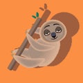 Funny sloth in different poses isolated on background