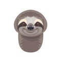 Funny Sloth Portrait on White