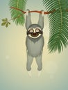 Funny sloth hanging on branch