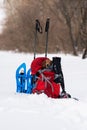 Funny small dog relaxes in a hiker`s backpack in winter forest Royalty Free Stock Photo