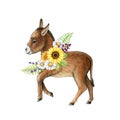 Funny small donkey with flower decor. Watercolor illustration. Hand drawn cute farm domestic animal with summer flowers Royalty Free Stock Photo