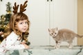 Funny small girl with  little kitten.Christmas tree background Royalty Free Stock Photo