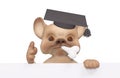 Funny small puppy dog character graduation cap diploma isolated