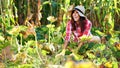 funny, smiling female farmer in plaid shirt, gloves and hat inspecting her vegetable garden, field, trying to pick up a Royalty Free Stock Photo