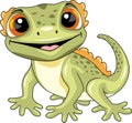 Funny smiling gecko isolated on white Royalty Free Stock Photo