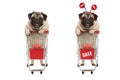 Funny smiling shopping pug puppy dog standing behind red wired metal shopping cart with sale sign Royalty Free Stock Photo