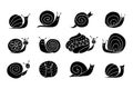 Funny snail logo for your design