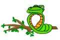 Green snake isolated on white background. Royalty Free Stock Photo