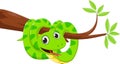 Funny snake on a tree branch