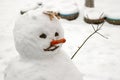 Funny snowman with carrot nose. Royalty Free Stock Photo