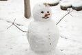 Funny snowman with carrot nose. Royalty Free Stock Photo