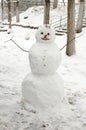 Funny snowman with carrot nose. Royalty Free Stock Photo