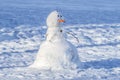 Funny snowman with a carrot nose