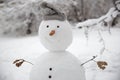 Funny snowman with a carrot instead of a nose and in a warm knitted hat on a snow-covered meadow Royalty Free Stock Photo