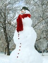 Funny snowman closeup Royalty Free Stock Photo