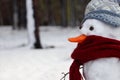 Funny snowman with scarf and hat in winter forest, closeup. Space for text Royalty Free Stock Photo