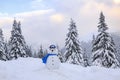 Funny snowman in ski glasses and blue scraf. Winter landscape with trees in the snowdrifts, the lawn covered by snow