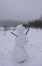 Funny snowman on snow covered rural field Royalty Free Stock Photo