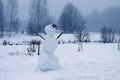 Funny snowman on snow covered rural field Royalty Free Stock Photo