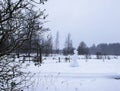Funny snowman on snow covered rural field Royalty Free Stock Photo