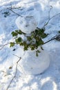 Funny snowman, snowwoman with a scarf made of ivy