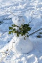 Funny snowman, snowwoman with a scarf made of ivy