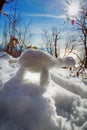 funny snowman turtle in rays of sun Royalty Free Stock Photo