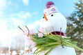 Funny snowmen with pink tulips, flowers in hands. Hello, welcome spring concept. Warm weather came. Melting snow. March. Sun
