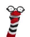 Funny sock puppet with glasses isolated on white
