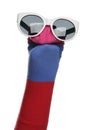 Funny sock puppet with sunglasses isolated on white Royalty Free Stock Photo